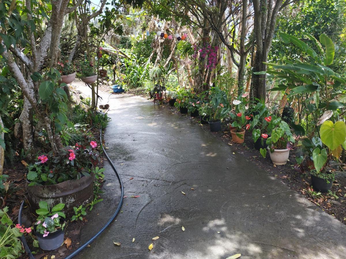 Ker L'Ilet Bed and Breakfast Cilaos Εξωτερικό φωτογραφία