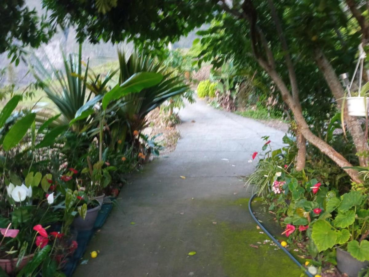 Ker L'Ilet Bed and Breakfast Cilaos Εξωτερικό φωτογραφία